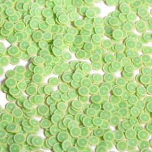 Fruit Polymer Clay Slices - Thumbnail Image 6